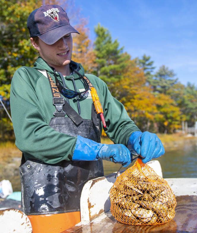 Man cutting oysters